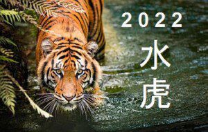 the year of tigher