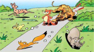 chinese-idiom