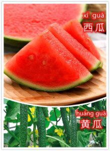 learn-chinese