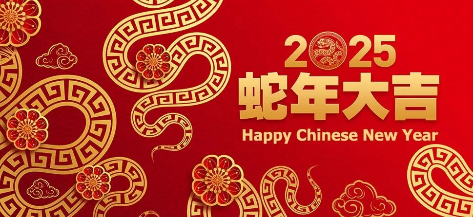 Discover the Year of the Snake: Insights, Traditions, and Zodiac Secrets