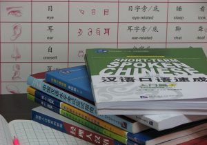 chinese language courses