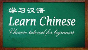 learn Chinese