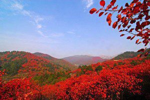 best place in Beijing