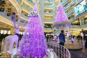 how to say merry christmas in Chinese