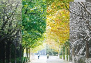 The Chinese Words for the Weather