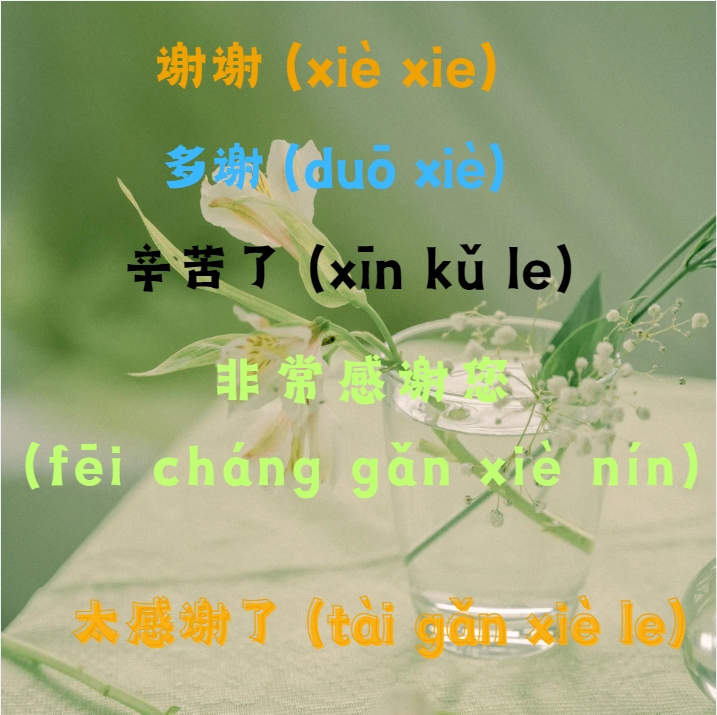 Chinese calligraphy for 'Xie Xie' (Thank You) surrounded by cultural elements