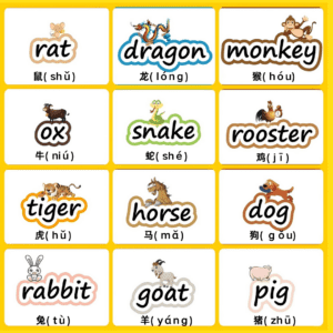 A comprehensive educational illustration of the 12 Chinese zodiac animals arranged in a 4x3 grid. Each animal is presented with its English name in large text, accompanied by its Chinese character (汉字) and pinyin pronunciation in parentheses. The animals featured are: 鼠 (shǔ/rat), 龙 (lóng/dragon), 猴 (hóu/monkey), 牛 (niú/ox), 蛇 (shé/snake), 鸡 (jī/rooster), 虎 (hǔ/tiger), 马 (mǎ/horse), 狗 (gǒu/dog), 兔 (tù/rabbit), 羊 (yáng/goat), and 猪 (zhū/pig). Each animal is illustrated in a cute, child-friendly cartoon style with distinctive colors and bordered frames.